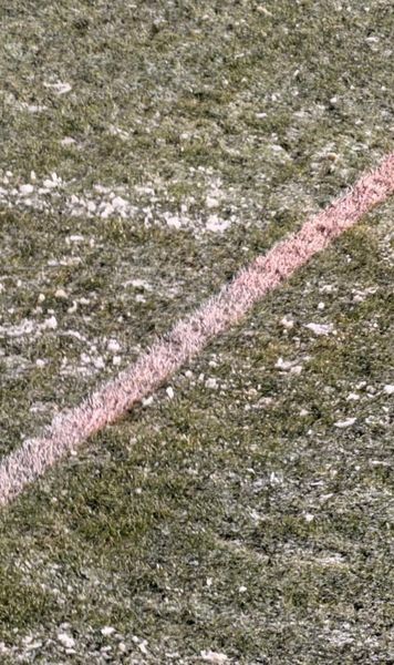 Liniile roz, pericol pentru VAR   Probleme înaintea meciului pe care FCSB voia să îl boicoteze:   ce au făcut organizatorii,  la Mioveni