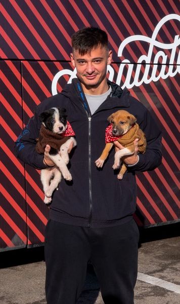 „Câinii” și cățeii     Ședință foto specială la Dinamo,   pentru a încuraja adopțiile: „Weekendul acesta să fie ultimul în adăpost”