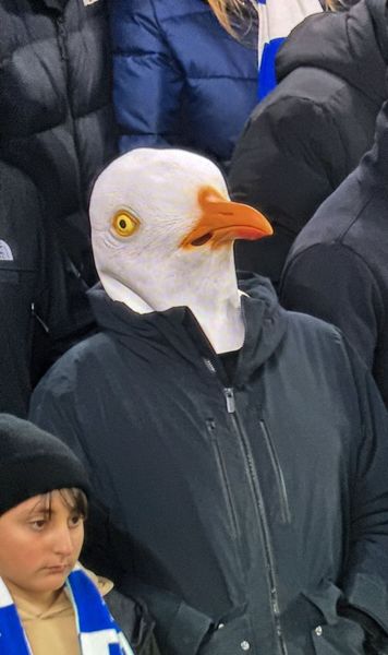 „Ori trebuia să fie la muncă, ori cu iubita”  Comentatorii   nu s-au putut opri din râs  când au văzut cum a venit un suporter la Liverpool - Brighton