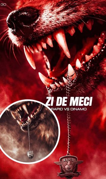 Dinamo a plagiat     FOTO  Postarea dinainte de derby-ul cu Rapid, identică   uneia din Australia