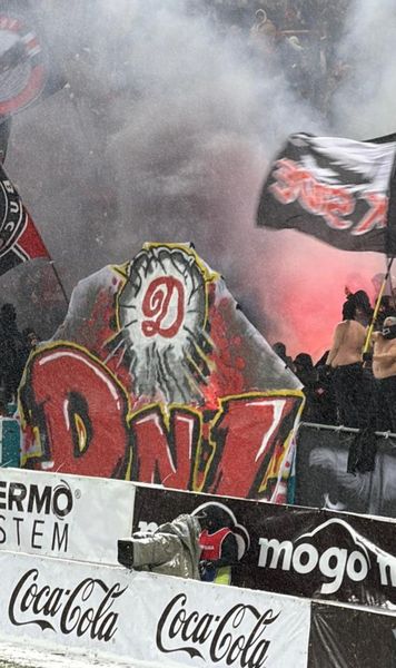 Amenzi după Rapid - Dinamo  Sancțiuni drastice aplicate de   Comisia de Disciplină,  în urma evenimentelor din derby