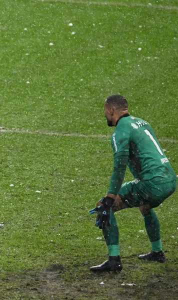 Gazonul de pe Arena Națională, o problemă  De ce cedează atât de rapid și   când ar putea fi schimbată  suprafața de joc