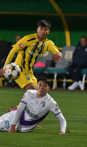 Vor să-i încurce pe „câini”  Anunțul făcut de FC Argeș referitor la   biletele  pentru meciul cu Dinamo