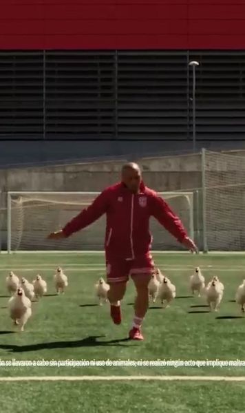 Roberto Carlos, antrenor de găini     VIDEO  Legendarul fotbalist apare într-o reclamă în care compară picioarele lui cu   copanele de pui:  „Gustos!”
