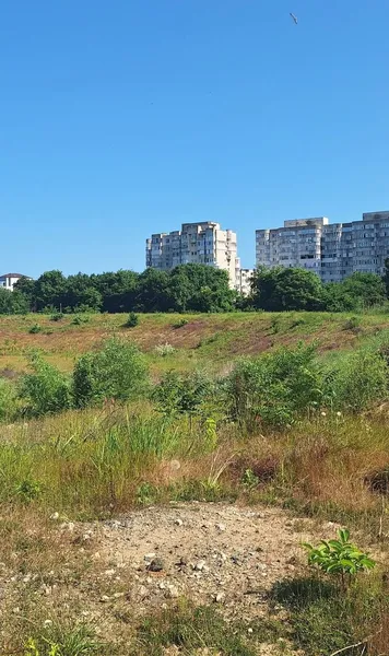  „Cât e biletul în savană?”  Locul unde ar trebui să se construiască    noul stadion al echipei de tradiție  e acoperit de vegetație