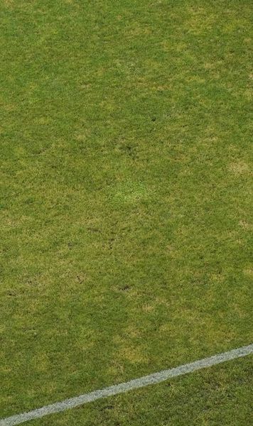 Aici vrea să se mute FCSB!    FOTO.    Gazonul de pe „Arc” arată deplorabil!  Ar trebui să fie gazdă pentru   8 meciuri   în următoarea lună