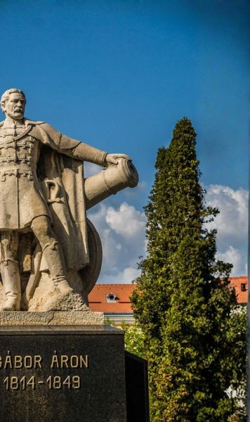 Cine este Aron Gabor   Eroul Revoluției Maghiare de la 1848,  invocat de patronul lui Sepsi după suspendarea lui Cosmin Matei