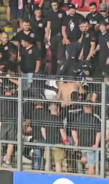 Haos la Arad   VIDEO.  Dinamoviștii  s-au bătut pe stadion  după meci! Jandarmeria a intrat peste ei » De unde a plecat scandalul