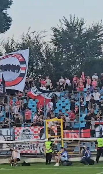 Nicolescu n-are liniște   VIDEO.    Fanii lui Dinamo l-au înjurat din nou  pe președintele clubului