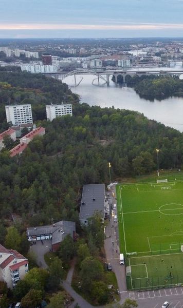 Secretul suedez   Cum se fabrică fotbaliștii:  terenuri subvenționate, bani publici și academii controlate la sânge