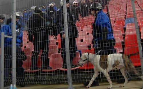 700 de jandarmi vor asigura ordinea la meciul Rapid-Steaua, in Cupa Romaniei