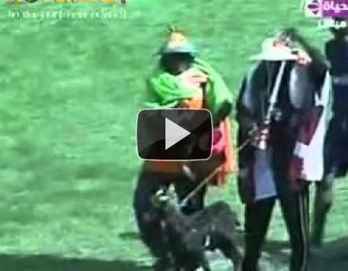 VIDEO  Niger - Egipt 1-0: victorie surpriza in preliminariile CAN 2012/ Egiptenii dau vina pe o capra