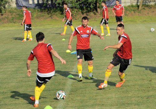 Victor Piturca a anuntat lista stranierilor pentru meciul cu Grecia