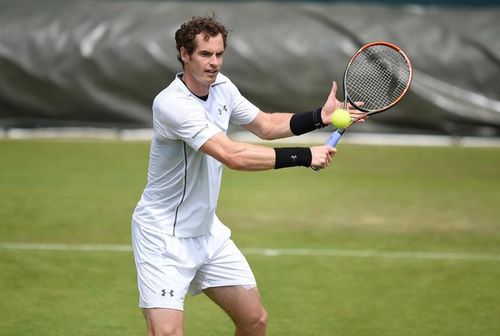 Wimbledon: Andy Murray in semifinale, unde il va intalni pe Roger Federer