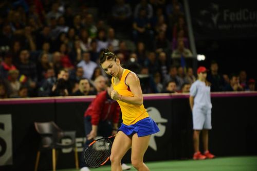 Fed Cup: Romania - Germania se va juca la Cluj-Napoca/ Simona Halep: 
Avem sansa noastra cu Germania, desi are o castigatoare de Mare Slem in 
componenta