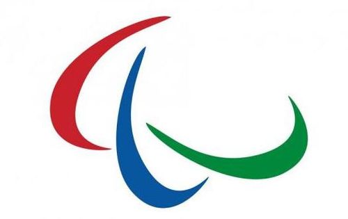 Jocurile Paralimpice: Sportivul georgian arestat pentru că a agresat un agent de securitate a fost exclus de la Tokyo