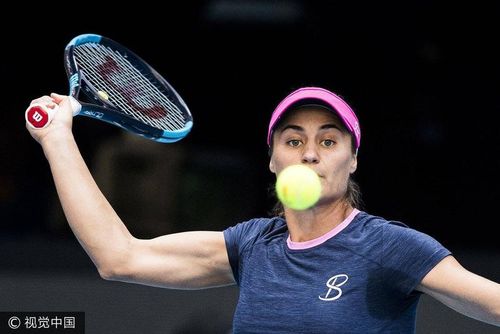 WTA Limoges: Monica Niculescu s-a calificat in optimi dupa ce a invins-o pe Alexandra Dulgheru