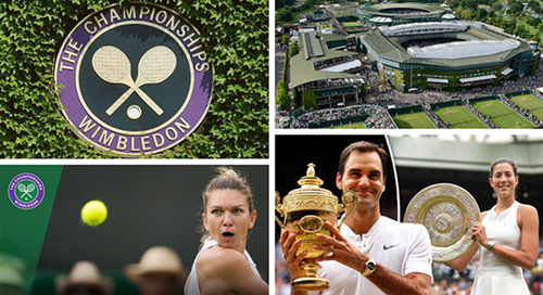 ​PREZENTARE Wimbledon 2018: Splendoare în iarba londoneză - Simona Halep și eliberarea presiunii; Roger Federer, pictura și tinerețea fără bătrânețe