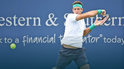 VIDEO ATP Cincinnati: Juan Martin Del Potro s-a calificat în optimi