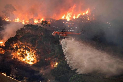 ATP: Jucătorii au donat jumătate de milion de dolari după incendiile devastatoare din Australia