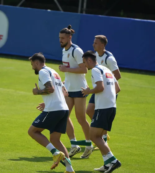 INTERZIS UEFA nu mai lasă România să facă  antrenamentul oficial  pe Allianz Arena, înaintea meciului cu Olanda