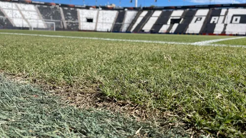 paok gazon toumba stadion fcsb (5).jpg