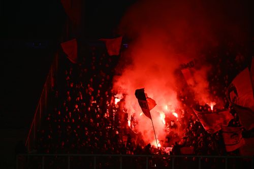 Petrolul - Dinamo / Foto: Raed Krishan - GOLAZO.ro