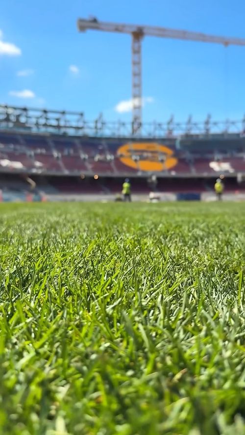 A început instalarea gazonului pe Camp Nou/ Foto: Facebook @ FC Barcelona.jpeg