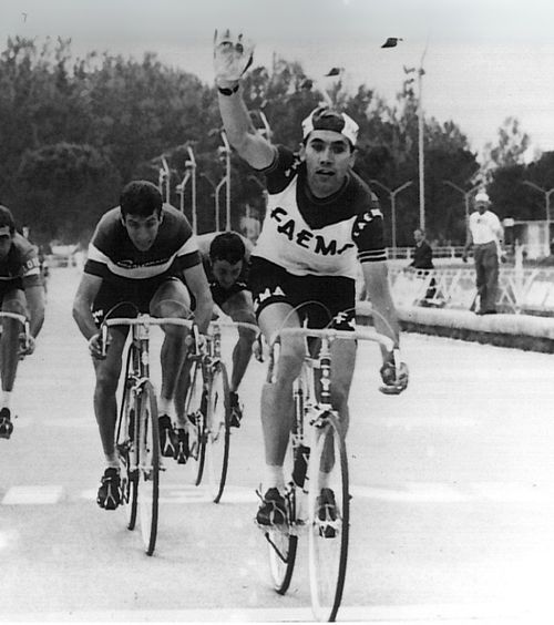 „Nu aveam de ce să mă dopez”  Eddy Merckx, cel mai mare ciclist al istoriei, contestă și acum excluderea din Giro.   I s-a propus trucarea Turului