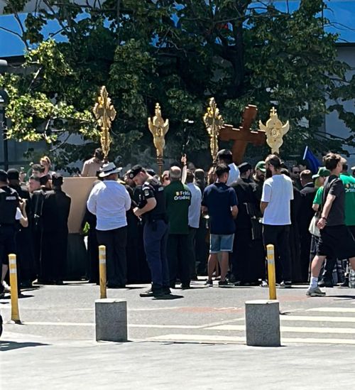 Gigi Becali, mars anti LGBT pe Calea Victoriei. FOTO Vlad Nedelea