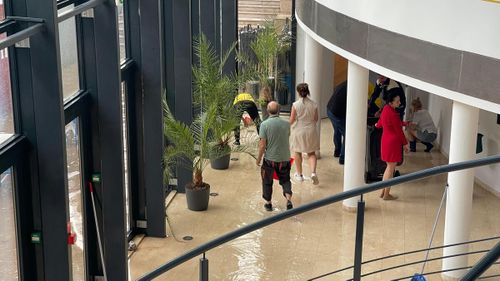 Ravagii la sediul FRF/ Foto: Vlad Nedelea - GOLAZO.ro.jpeg