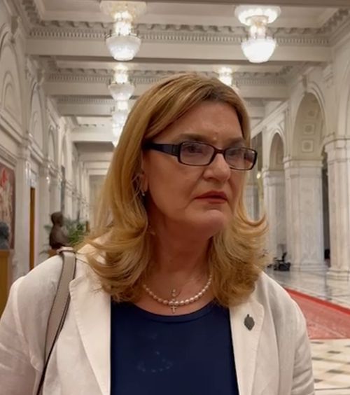 Probleme cu legea la FR Canotaj   Curtea de Conturi, despre federația Elisabetei Lipă: plăți neconforme de   sute de mii de euro,  achiziții care fentează legea