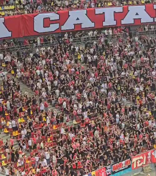 Ura care unește  Fanii lui Dinamo și FCSB,   scandări xenofobe  la Derby de România