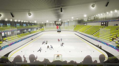 Patinoar Flamaropol 2.jpg