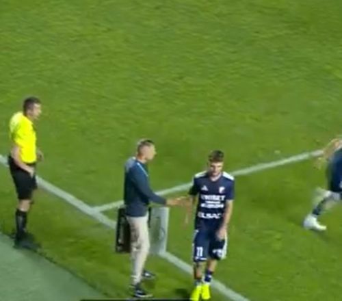 „Mi se pare extrem de grav”    FOTO:  Basarab Panduru l-a „taxat” pe   Zoran Mitrov  după gestul făcut față de Mihai Roman: „Nu îl recomandă nimic”