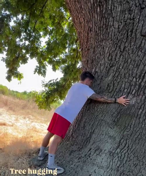 Antrenamentul lui Alex Băluță. FOTO instagram.com/sashacalisthenic