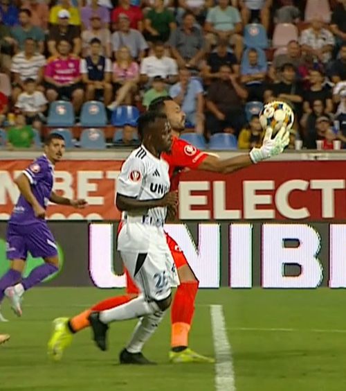 Gol valabil și fault gratuit?    FOTO.  Două faze controversate în meciul   FC Botoșani - FC Argeș