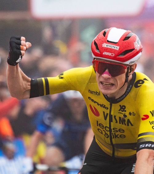 Vingegaard, lider în la Vuelta    Cum arată clasamentul  după primele două etape + Ce cicliști lipsesc de la Turul Spaniei