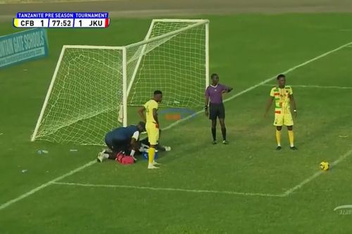 Meci din Tanzania întrerupt de albine (2).jpg