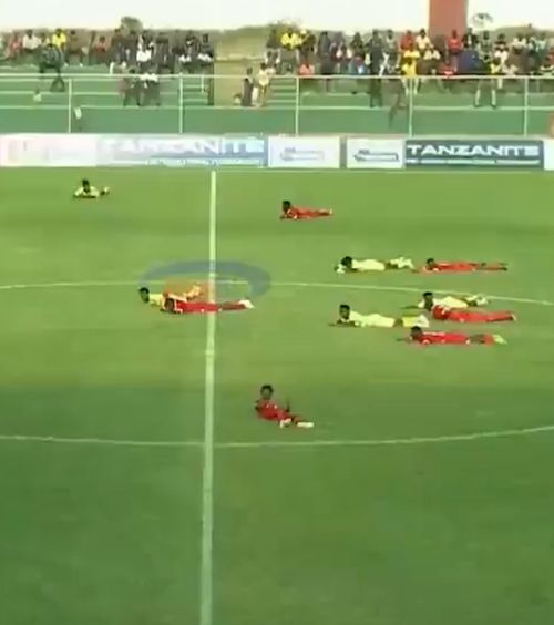 Albinele au provocat haos!    FOTO.  Un meci a fost întrerupt după ce   un roi de insecte a invadat terenul  » Cum s-au protejat jucătorii