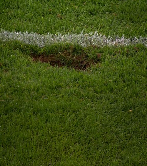 Întrerupt de groapa din gazon    FOTO.     Nu s-a jucat  timp de 5 minute în Austria - Cipru: au adus pământ cu găleata, pe final de meci