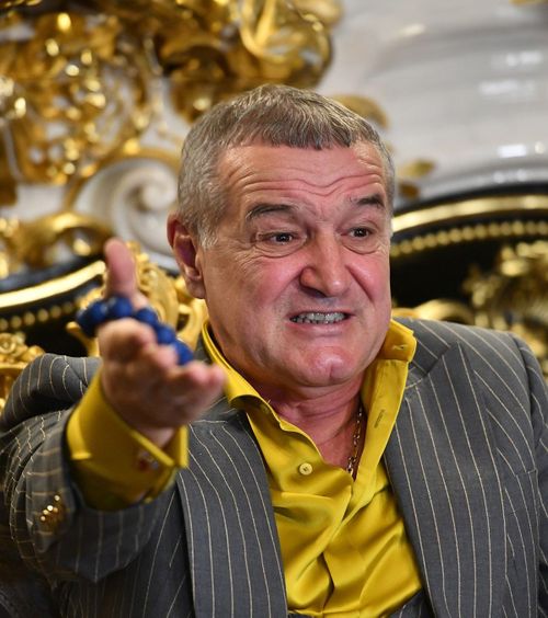 Becali, construcție ilegală   Somat să sisteze lucrările, patronul de la FCSB răspunde:   „Fac ce vreau în țara mea”