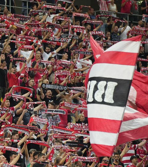 Bilete pentru Dinamo - Rapid   „Câinii” au pus în vânzare tichetele cu   20 de zile înainte de derby : „Avem nevoie de voi!”