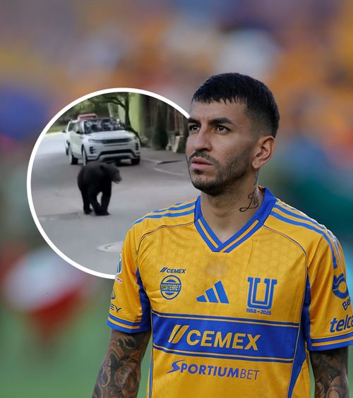 S-a întâlnit cu ursul    VIDEO.  Fostul jucător de la   Atletico Madrid  a avut parte de un moment bizar pe o stradă din Mexic » Reacția soției