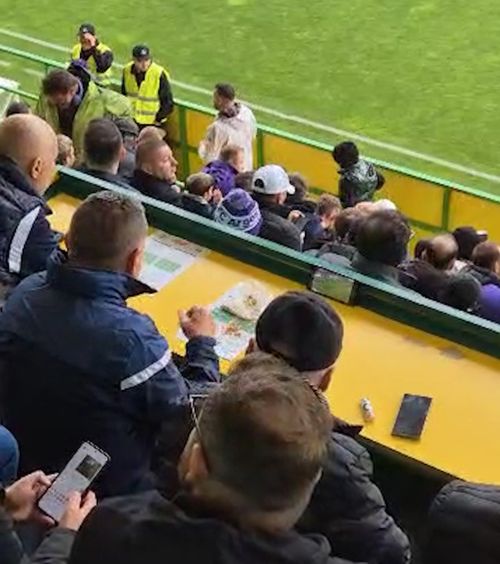 Gentea, semințe și Arsenal     VIDEO    Cum a fost surprins  primarul din Pitești la partida dintre FC Argeș și Petrolul