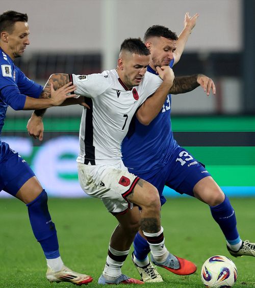 Nemaivăzut!    Selecționerul sârb și-a anunțat demisia pe bancă,  în timpul jocului cu Albania: „Nu mai are sens”