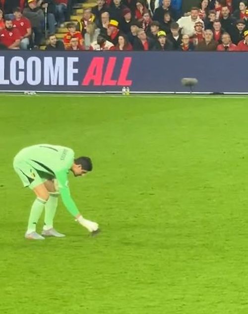 Meciul Țara Galilor - Belgia, întrerupt de un șobolan FOTO Captură video