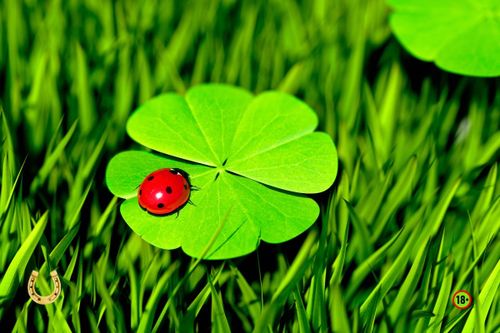 Superstiții și ritualuri  în căutarea   norocului : competiții sportive vs. jocuri de cazino