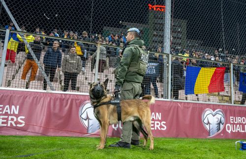 Bosnia - România Foto Raed Krishan - GOLAZO (8).jpg