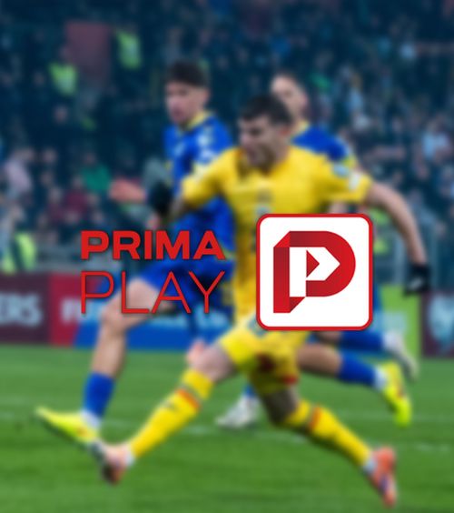 Probleme tehnice    FOTO.   Platforma pe care românii urmăreau meciul cu Bosnia   a cedat  în primele minute 